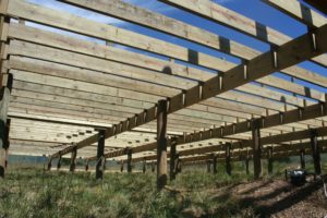 STRUCTURAL Main Picture